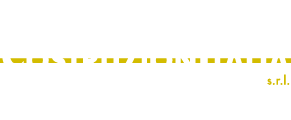 Costruzioni Italia Logo